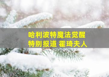 哈利波特魔法觉醒 特别报道 霍琦夫人